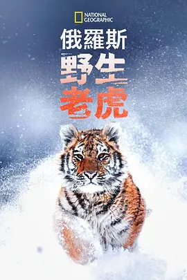 国产色爱综合