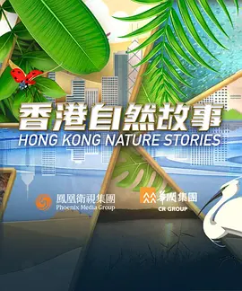 亚洲图欧美色在线观看