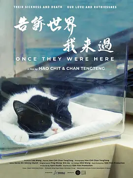郑爽无码种子下载