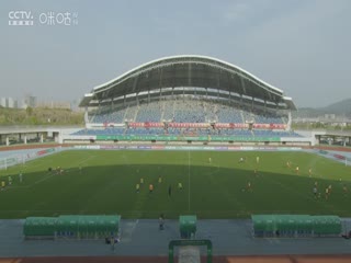 男人毛片在线视频